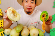 网红吃瓜评论怎么写的文案,揭秘娱乐圈幕后真相