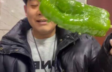 网红陈佩奇吃瓜视频全集,揭秘网红幕后生活